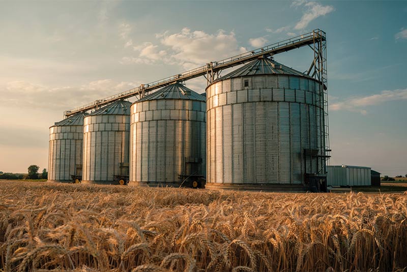 Syndrome toxique des poussières organiques